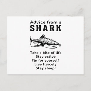 Sharks Fish Sea Shark Fin Cool Ocean Funny Gift Postcard