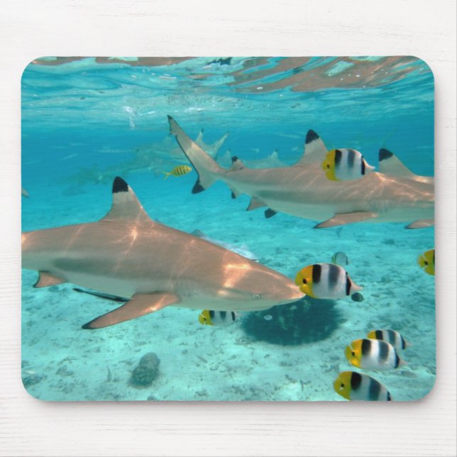 Sharks in the Bora Bora lagoon mousepad (Front)