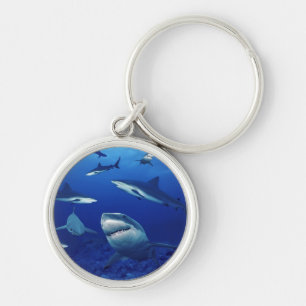 Sharks Keychain