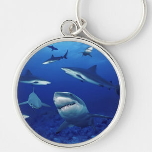 Sharks Keychain
