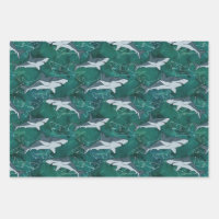 Sharks, marine,sea, fish, predator, animal, jaws, 