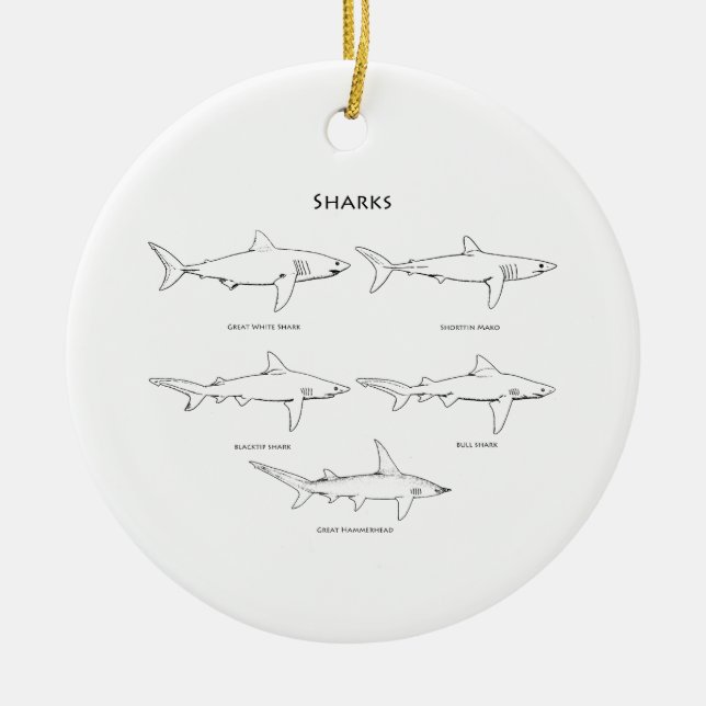 Sharks Species Logo Ceramic Tree Decoration (Front)