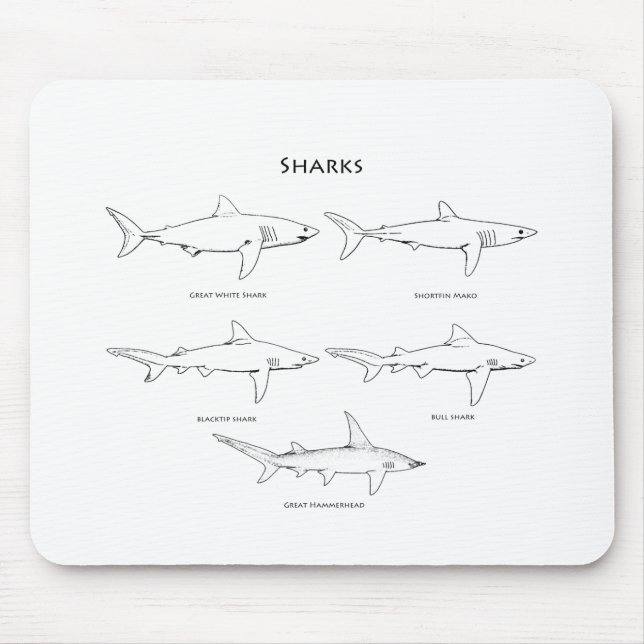 Sharks Species Logo Mouse Mat (Front)
