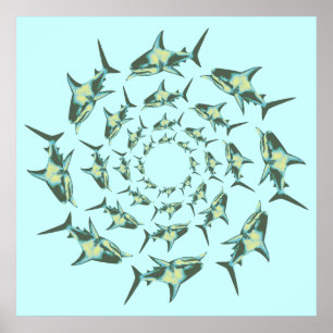 sharks swimming in circles poster