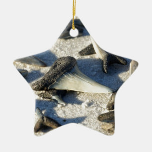 Sharks Teeth from Jax Beach Ceramic Tree Decoration