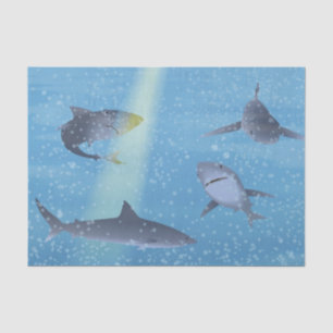 Sharks Tissue Paper