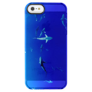 Sharks Underwater Clear iPhone SE/5/5s Case