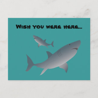 Sharks, Wish you were here... Postcard