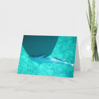 Sharksucker Remora Holiday Card