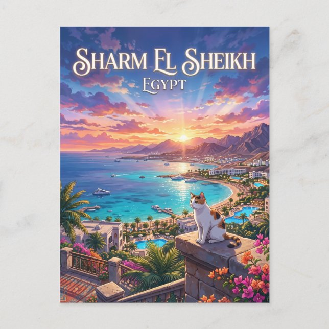 Sharm El Sheikh Egypt Postcard (Front)