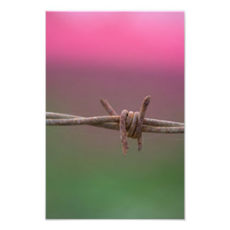 Sharp Colours. Photo Print