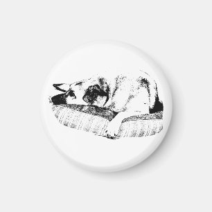 Sharp Edge, Bedside Dog Magnet