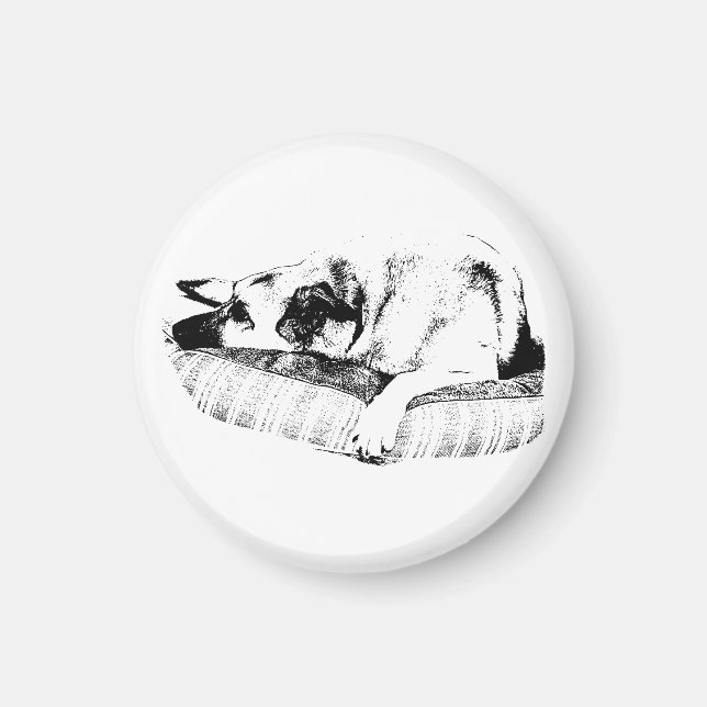 Sharp Edge, Bedside Dog Magnet (Front)