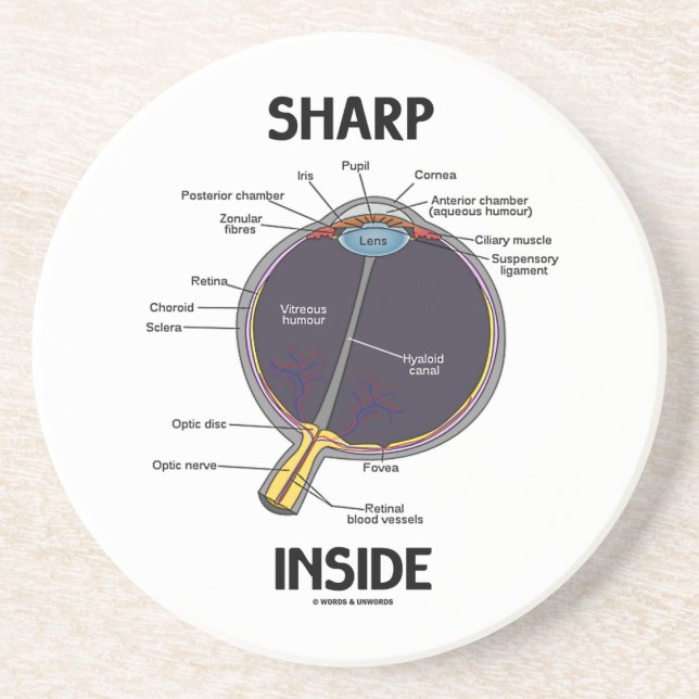 Sharp Eye (I) Inside (Anatomical Eyeball) Coaster (Front)