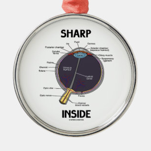 Sharp Eye (I) Inside (Anatomical Eyeball) Metal Tree Decoration