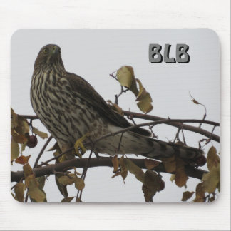 Sharp Shinned Hawk in Tree Your Initials Mouse Mat