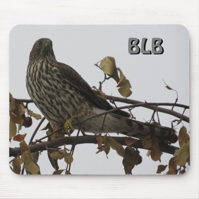 Sharp Shinned Hawk in Tree Your Initials Mouse Mat (Front)