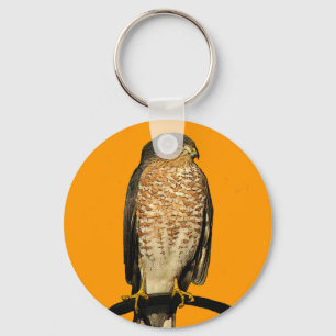 Sharp-Shinned Hawk Key Ring