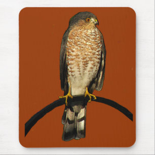 Sharp-shinned Hawk Mouse Mat