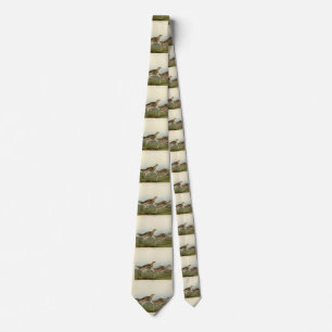 Sharp-tailed Grouse - Audubon's Birds of America Tie