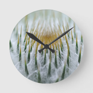 Sharp thistle flower round clock