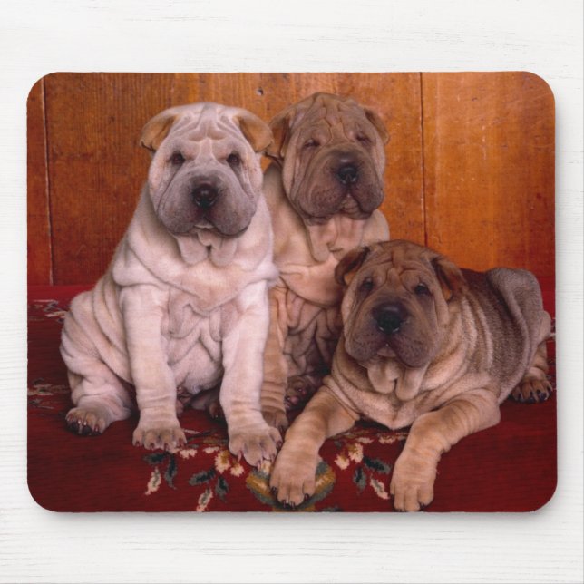 sharpei mouse pad (Front)
