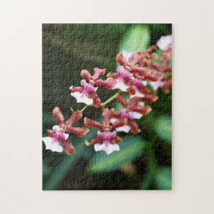 Sharry Baby Oncidium 10x14 Photo Puzzle