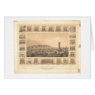 Shasta, CA. Panoramic Map 1856 (1612A)