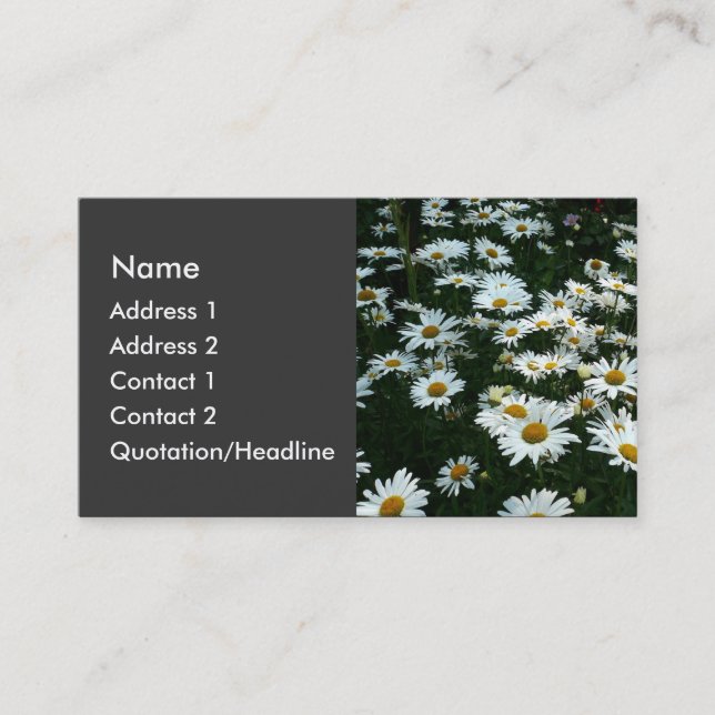 Shasta Daisies Business Card (Front)