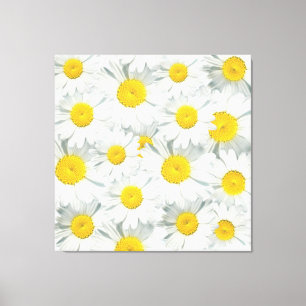 Shasta Daisies Canvas Print