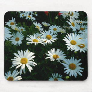 Shasta Daisies II Mouse Mat