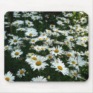 Shasta Daisies Mouse Mat