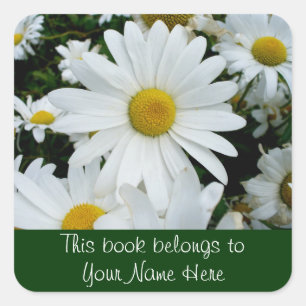 Shasta Daisies Photo Square Sticker