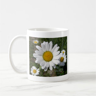 Shasta Daisy (Chrysanthemum maximum) Coffee Mug