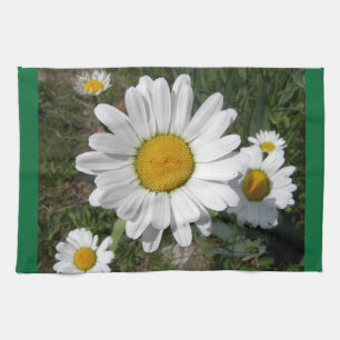 Shasta Daisy (Chrysanthemum maximum) Tea Towel