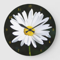 Shasta Daisy Clock