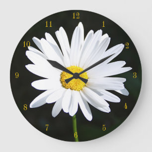 Shasta Daisy Clock