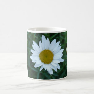 Shasta Daisy Coffee Mug