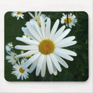 Shasta Daisy Mouse Mat