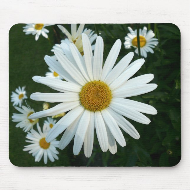Shasta Daisy Mouse Mat (Front)