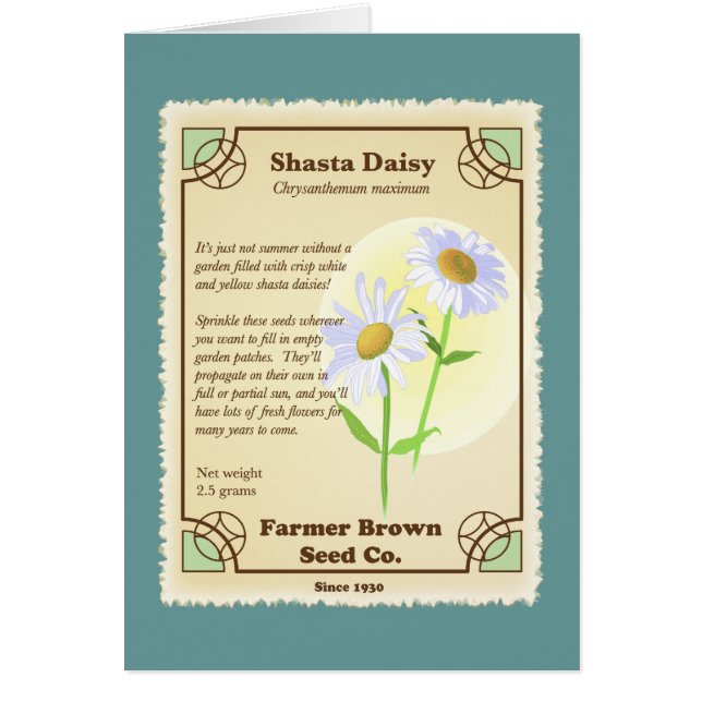 Shasta Daisy Seed Packet (Front)