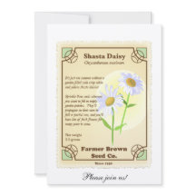Shasta Daisy Seed Packet