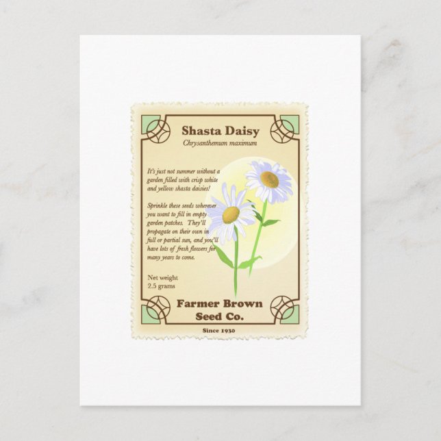 Shasta Daisy Seed Packet Postcard (Front)