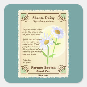 Shasta Daisy Seed Packet Square Sticker