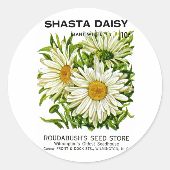 Shasta Daisy Vintage Seed Packet Classic Round Sticker (Front)