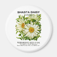 Shasta Daisy Vintage Seed Packet