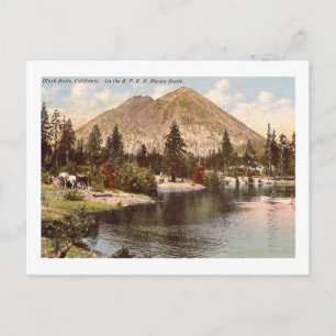 Shasta Route, Black Butte, CA Vintage Postcard
