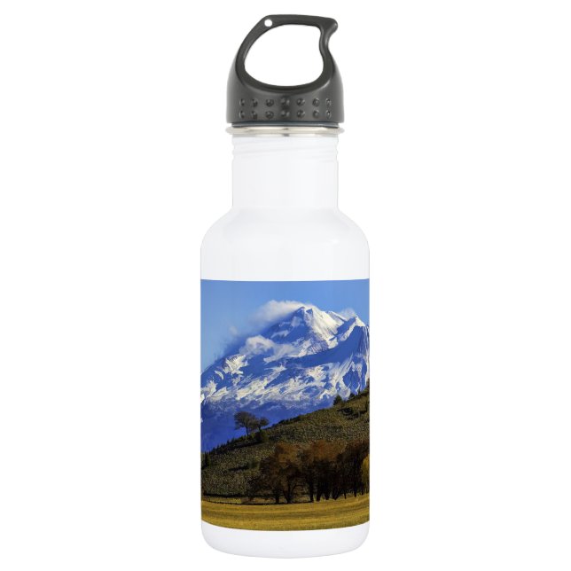 SHASTA VIEW 532 ML WATER BOTTLE (Front)