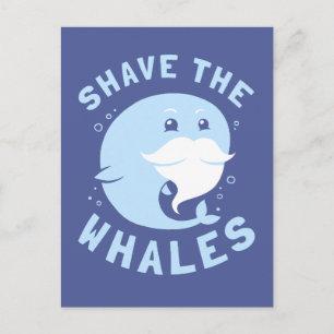 Shave The Whales Postcard