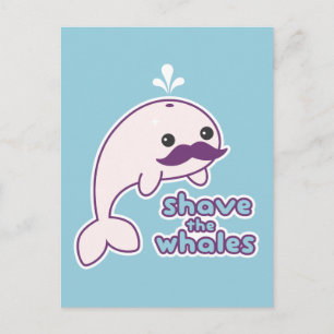 Shave the Whales Postcard